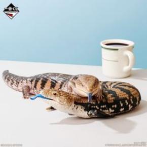 一番くじ 爬虫類&両生類 vol.2 C・E・F・G・H・I賞 d8c904ff6c699a45d2d4c4d548c9f3