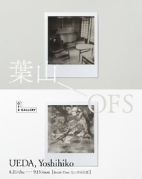 上田義彦 上田義彦 いつも世界は遠く、」神奈川県立近代美術館 葉山2025年