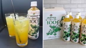 ～南国のおいしさをギュッと搾ったストレート果汁～全農直営焼肉店舗で「沖縄県産シークヮーサードリンクフェア」を８月２７日（木）～９月６日（日）まで開催