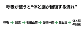睡眠の質を上げる唯一の方法は、呼吸の質を高め、副交感神経を優位にすること　眠りづらさの正体──シリーズ第13回
