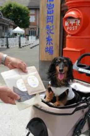 ペット同伴入場を開始してから3年5か月で、ペット同伴入場受付の累計数が『5,555(GO！GO！GO！GO！)匹目』に到達！