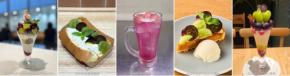 ～１日200gの国産くだものを食べよう！～ぎゅっと詰まった果実の宝石 全国の旬のぶどうを食べ比べ全農直営飲食店舗で「国産ぶどうフェア」を９月１２日（土）～９月２５日（金）に開催