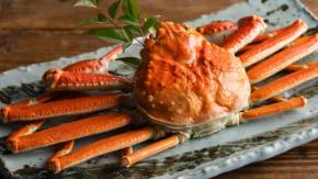 【カニ好き必見】早期予約で最大10%OFF!新設される「夕日ダイニング」で味わう冬のかにづくしを大満喫!/海の京都・夕日ヶ浦温泉「海辺の温泉 食旅 一望館」