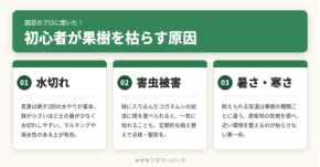 プロでも枯らす?!園芸のプロ3名が語る、初心者が果樹栽培でつまずく3つの原因