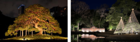 夜間特別開園ー「小石川後楽園 深山光葉を楽しむ」 開催　令和8年11月13日（金）～24日（火）