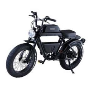電動アシスト自転車の優位性と道交法に則った安全走行で楽しむ鳴門のモビリティライフ　YADEA BIZ Rentalの実証実験を実施