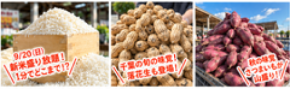 新米150kgを大放出！1分間でどこまで盛れる？過去最高記録は1.2kg！道の駅木更津うまくたの里「秋の大収穫祭」を9/19(土)～23(水・祝)の5日間開催！