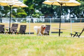 大型犬もOK!大分・国東の海辺のドッグリゾートがドッグランの日帰り利用を開始