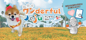 初めての愛犬海外デビューをフルサポート!限定8組『ワンderful Jeju ー愛犬と行く、秋の韓国リゾート・チェジュ島3泊4日の旅ー』を初開催。9月開催「Pet博2026大阪」にて次回ツアーの相談会も。