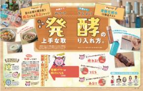 発酵の上手な取り入れ方や「ながらトレーニング」グッズ 『LDK』8月号