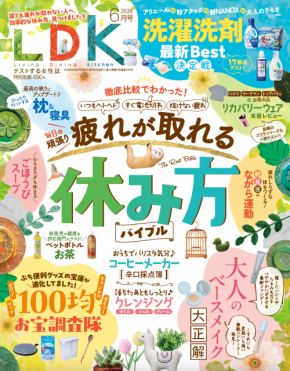 『LDK』6月号 効率的な休み方を徹底取材&テスト