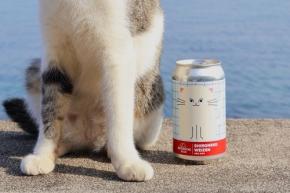 【1月第3週】新商品＆ビールイベントまとめ｜編集部が気になった最新ビールニュース9選