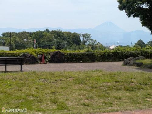 食堂の前の芝生からも富士山が見えます