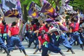  よさこい祭りを見に行こう！ 2025年の日程や開催場所、スケジュールを紹介！ ツアー情報も 