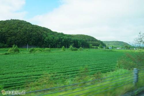 外は快晴!気持ちのいいドライブを楽しめる(窓は開きません)