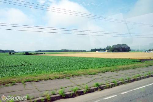 車窓から見える景色が広い!