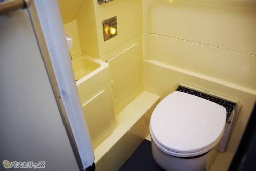 トイレ内の様子。向かって左側に小さな洗面台あり