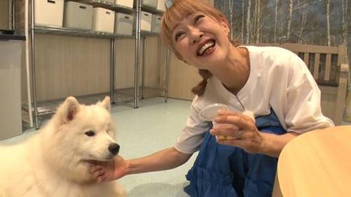 犬と遊ぶ松嶋