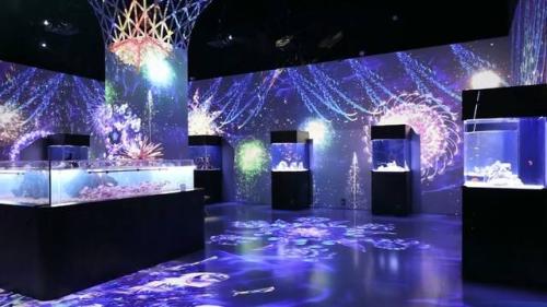 アクアパーク品川