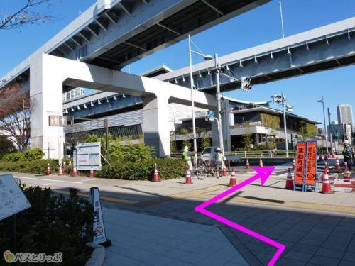 横断歩道を渡れば、有明アリーナへ到着!(右側にも横断歩道があり、迂回もOK)