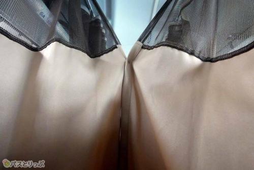 内側から見た状態