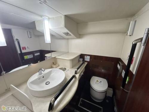 広いトイレ内部、鏡が大きいのも嬉しいです