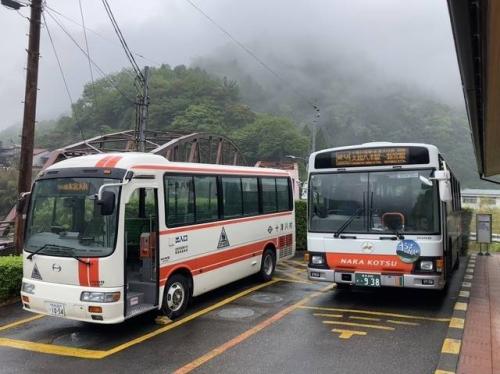 十津川温泉に停⾞するブルーリボンⅡとリエッセ（※画像提供／日本旅行）
