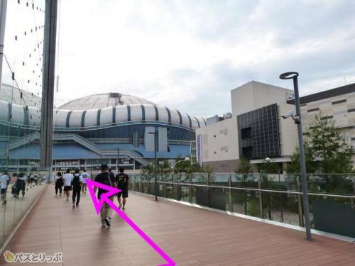 外壁沿いの道は一本道。道なりに左折すればドームは目の前！