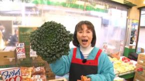 2/21放送「タカトシ温水の路線バスで!」大井競馬場で遊ぼう!