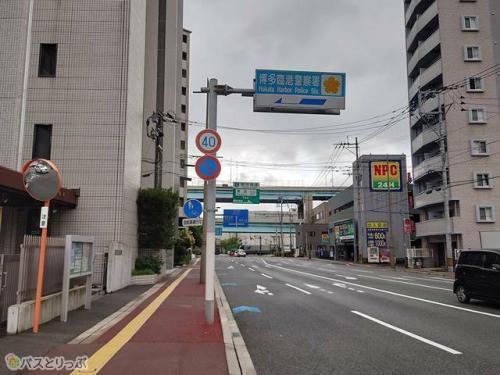 マリン通りを直進