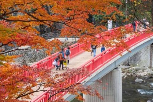 香嵐渓の橋