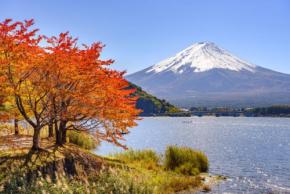  富士山と紅葉のコラボ！「富士河口湖紅葉まつり2025」の開催情報を紹介！ もみじ回廊へ行けるバスツアーもあり 