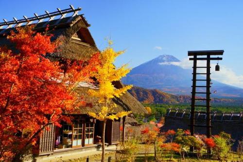 西湖いやしの里根場