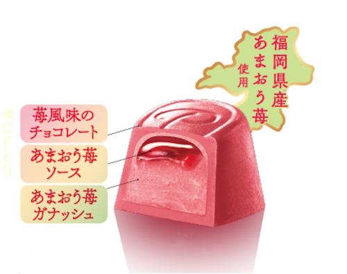 「プレミアムルック(あまおう苺)パウチ」イメージ