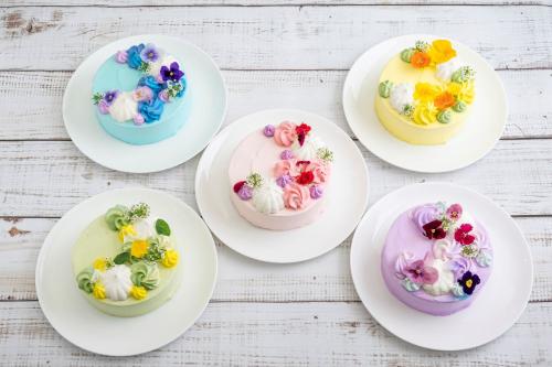 「母の日コース ~Merci Maman 推しカラーケーキセレクション~」イメージ
