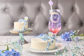 歌舞伎町：人気の”青いケーキ”が5月限定復活「ShortCakeCompany」26年は初夏のネモフィラをイメージしたライトブルーケーキに