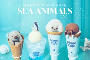 ジェラピケカフェの人気あざらしクレープ復活登場　海洋生物をイメージしたフェア「SEA ANIMALS」5月29日より開催