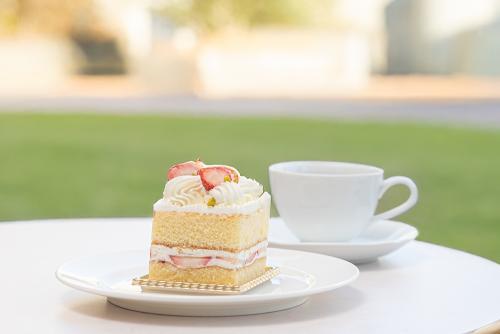 「ケーキバイキング」イメージ