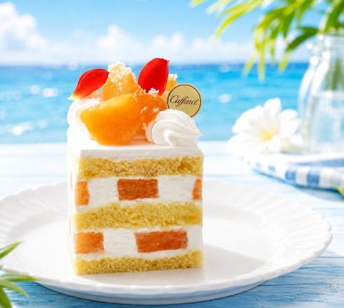 「メロンショートケーキ」イメージ