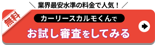 業界最安水準の料金で人気!定額カルモくんでお試し審査をしてみる