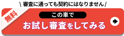 お試し審査