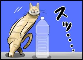 猫避けペットボトルを無効化するまさかの方法とは？「これはもう猫じゃない」「クセが強い」