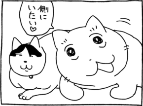 「側にいたい」と寄り添う飼い主へのネコちゃんの反応が辛辣すぎる!!