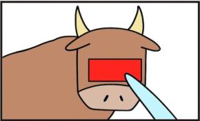 【逆転の発想】狂った闘牛に勝つための唯一の手段とは?「笑った」「終わりだ」