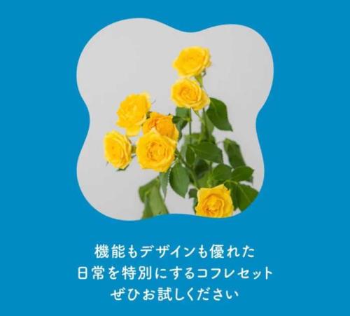 ヘブンジャパンのスプリングコフレ2025⑫