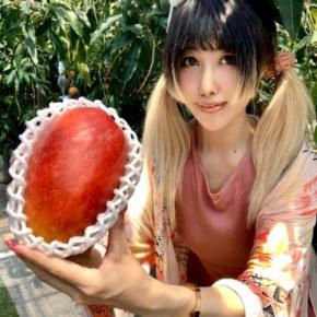 ダイヤマンゴーって知ってる!?函南町発!夏のおいし過ぎる話題のフルーツ