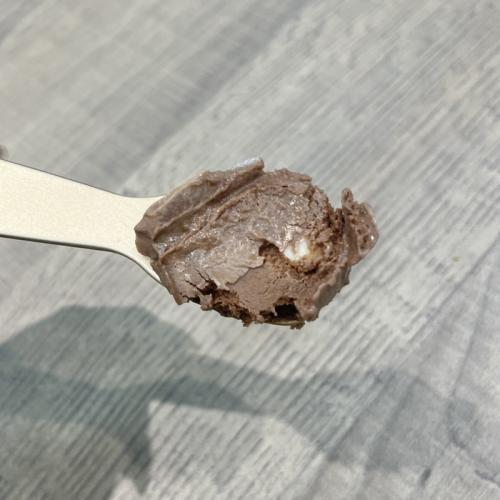 ハーゲンダッツ GREEN CRAFTのチョコレート&マカデミア⑤