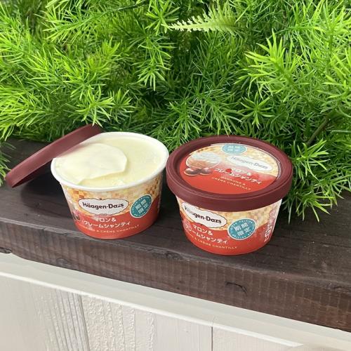 ハーゲンダッツのマロン＆クレームシャンティ①