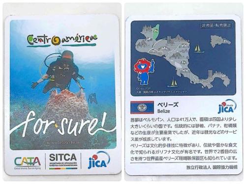 万博・中米8か国③