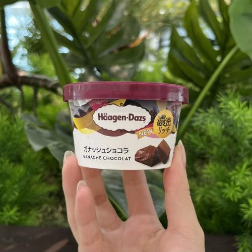 ハーゲンダッツのガナッシュショコラ⑥